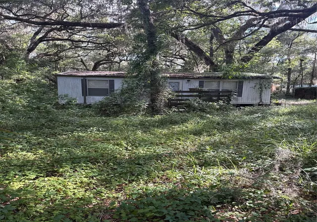 Photo 2 of Land for sale at 5612 E Highway 316, Citra, FL 32113 | MLS# O6438100 | Listing updated on 2026-09-01