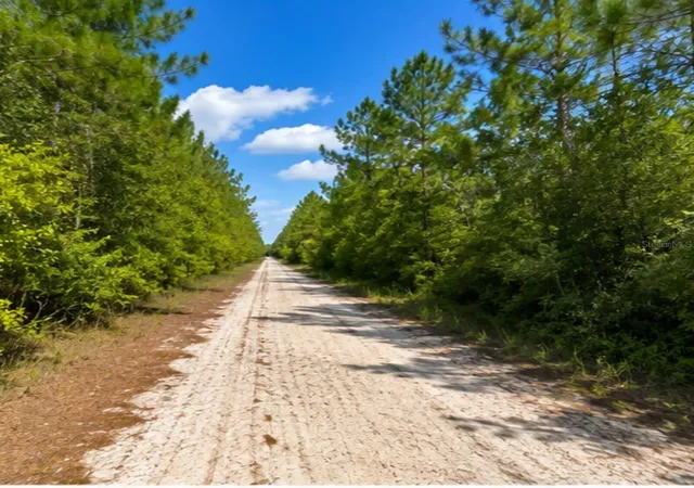 Photo 2 of Land for sale at Rochelle Ln, Crestview, FL 32539 | MLS# L4964722 | Listing updated on 2026-09-01