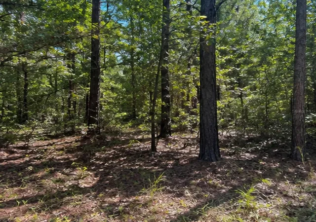 Photo 4 of Land for sale at Rochelle Ln, Crestview, FL 32539 | MLS# L4964722 | Listing updated on 2026-09-01