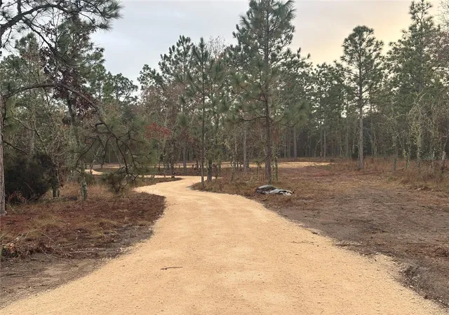 Photo 1 of Land for sale at Se 4th Street, Williston, FL 32696 | MLS# OM731455 | Listing updated on 2026-10-05