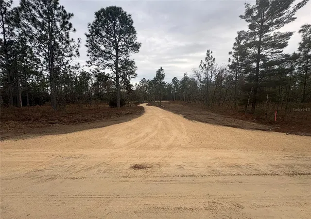 Photo 2 of Land for sale at Se 4th Street, Williston, FL 32696 | MLS# OM731455 | Listing updated on 2026-10-05