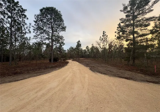 Photo 3 of Land for sale at Se 4th Street, Williston, FL 32696 | MLS# OM731455 | Listing updated on 2026-10-05