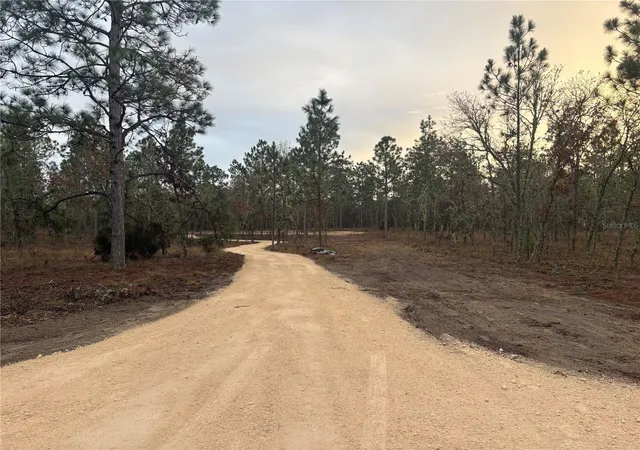 Photo 3 of Land for sale at SE 4th Street, Williston, FL 32696 | MLS# OM731455 | Listing updated on 2026-10-05