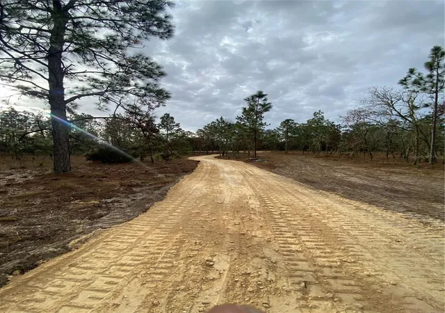 Photo 4 of Land for sale at SE 4th Street, Williston, FL 32696 | MLS# OM731455 | Listing updated on 2026-10-05