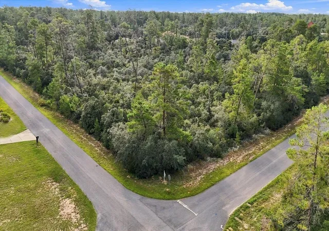 Photo 4 of Land for sale at 4282 W Thrush Dr, Citrus Springs, FL 34433 | MLS# TB8544404 | Listing updated on 2026-10-06