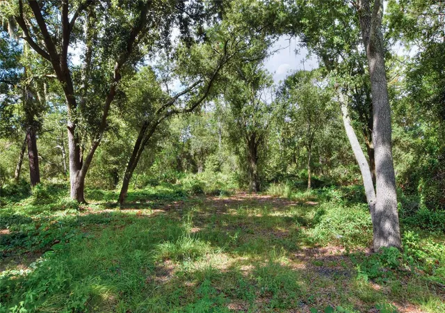 Photo 2 of Land for sale at Se 33rd Street, Ruskin, FL 33570 | MLS# TB8544418 | Listing updated on 2026-09-25