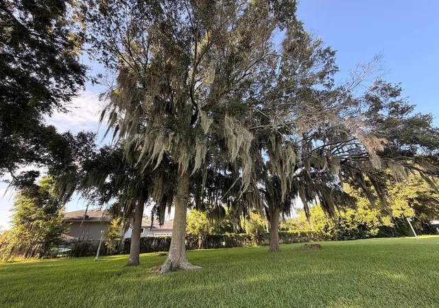 Photo 4 of Sale Pending at 223 S Ortman Dr, Orlando, FL 32811 | MLS# TB8544539 | Listing updated on 2026-10-21