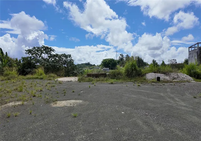 Photo 3 of Land for sale at Carr 155 Km 355 Bo Perchas, Morovis, PR 00687 | MLS# PR9123871 | Listing updated on 2026-09-21