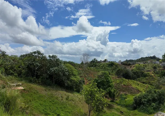 Photo 4 of Land for sale at Carr 155 Km 355 Bo Perchas, Morovis, PR 00687 | MLS# PR9123871 | Listing updated on 2026-09-21
