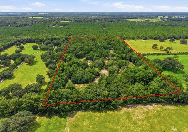 Photo 3 of Land for sale at Sw 207 Court, Morriston, FL 32668 | MLS# GC543184 | Listing updated on 2026-09-03