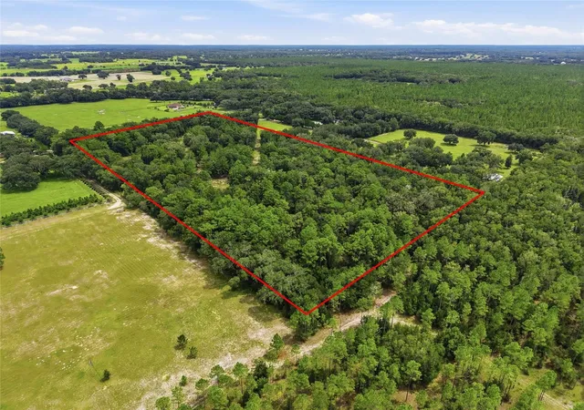 Photo 3 of Land for sale at SW 207 Court, Morriston, FL 32668 | MLS# GC543184 | Listing updated on 2026-09-03