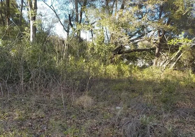 Land for sale at 0 SE 139th Lane #LOT 43, SUMMERFIELD, FL 34491 | MLS# TB8544720
