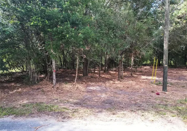 Photo 2 of Land for sale at 8746 N Catapane Loop, Crystal River, FL 34428 | MLS# O6438534 | Listing updated on 2026-09-13