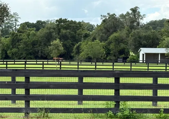 Land for sale at Tbd NW 95th Avenue Rd, OCALA, FL 34482 | MLS# OM731555