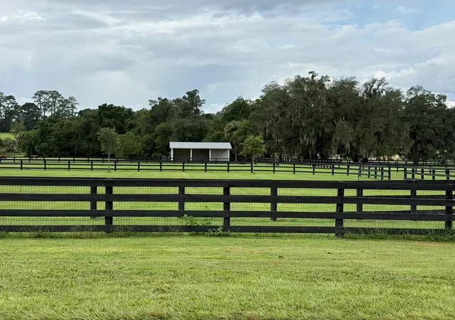 Photo 2 of Land for sale at Tbd NW 95th Avenue Rd, Ocala, FL 34482 | MLS# OM731555 | Listing updated on 2026-09-21