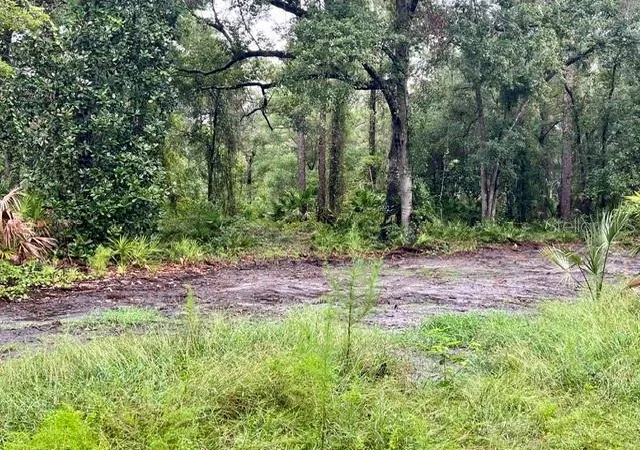 Photo 2 of Land for sale at Xxx Water Oak Rd, Bunnell, FL 32110 | MLS# FC321174 | Listing updated on 2026-09-03