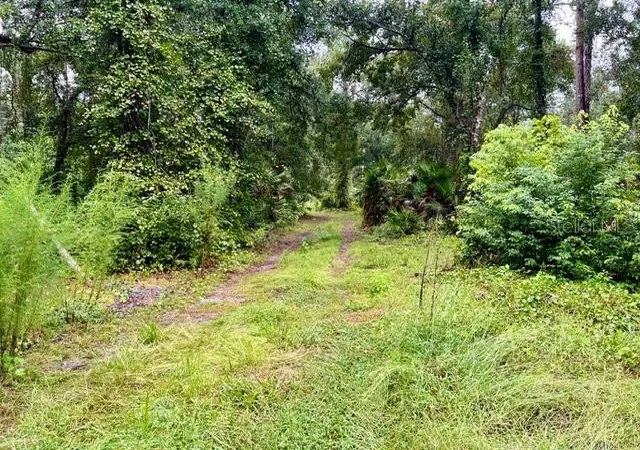 Photo 3 of Land for sale at Xxx Water Oak Rd, Bunnell, FL 32110 | MLS# FC321174 | Listing updated on 2026-09-03