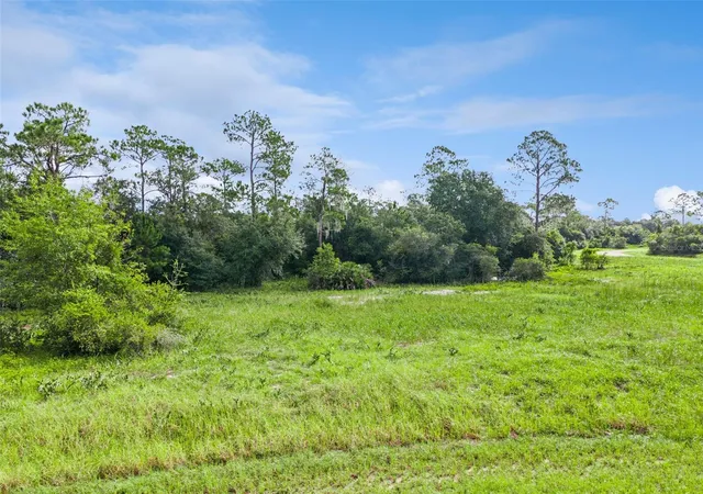 Photo 3 of Land for sale at 1319 Homosassa Ct, Kissimmee, FL 34759 | MLS# O6438681 | Listing updated on 2026-09-05