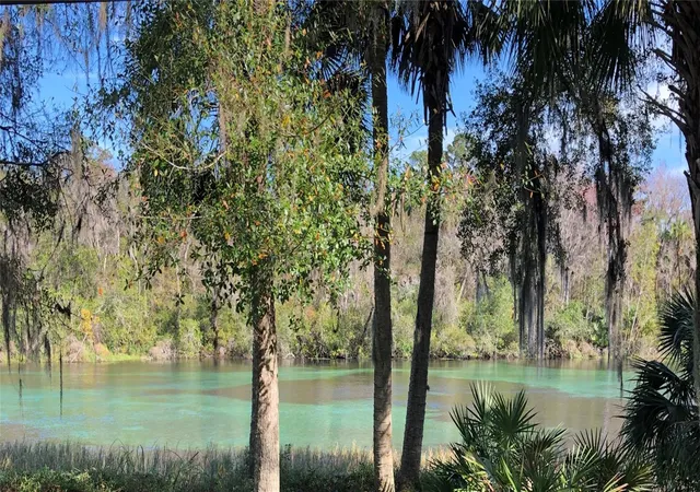 Photo 2 of Land for sale at 7357 N Firwood Cir, Citrus Springs, FL 34433 | MLS# OM731598 | Listing updated on 2026-09-04