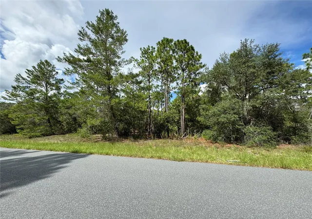 Photo 3 of Land for sale at 7357 N Firwood Cir, Citrus Springs, FL 34433 | MLS# OM731598 | Listing updated on 2026-09-04