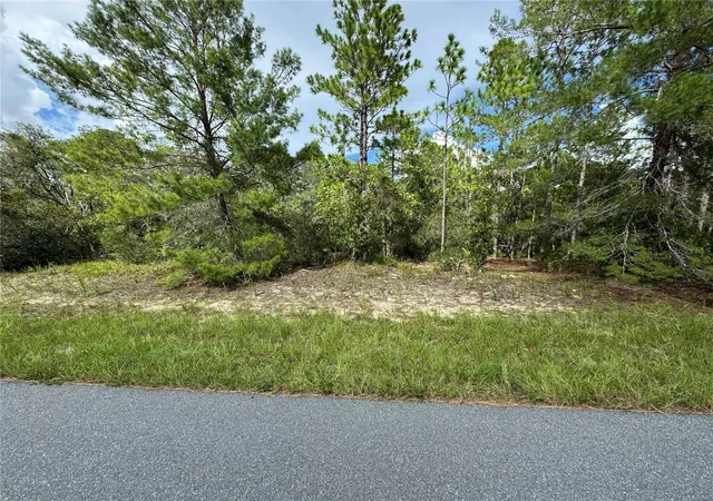 Photo 4 of Land for sale at 7357 N Firwood Cir, Citrus Springs, FL 34433 | MLS# OM731598 | Listing updated on 2026-09-04