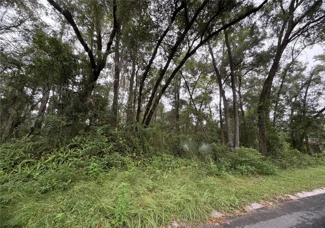 Photo 2 of Land for sale at 6033 E Dell Ln, Inverness, FL 34452 | MLS# OM731616 | Listing updated on 2026-09-07