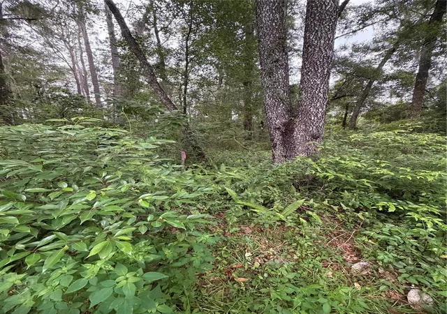 Photo 3 of Land for sale at 6033 E Dell Ln, Inverness, FL 34452 | MLS# OM731616 | Listing updated on 2026-09-07