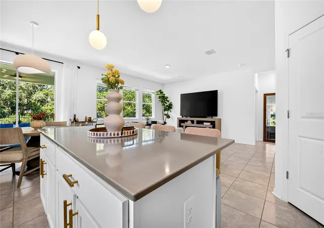 Photo 3 of Single family home for sale at 1924 Turtle Dove Ln, Kissimmee, FL 34746 | MLS# TB8545183 | Listing updated on 2026-09-05