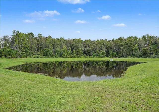 Photo 2 of Single family home for sale at 10906 Rustic Eve Ct, Land O Lakes, FL 34638 | MLS# TB8545217 | Listing updated on 2026-10-20
