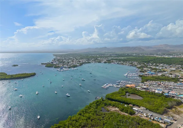 Photo 4 of Land for sale at Km 122 Barrio Aguirre, Salinas, PR 00751 | MLS# PR9123926 | Listing updated on 2026-10-06