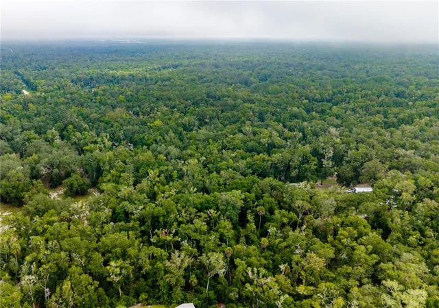 Photo 2 of Land for sale at Tbd Ne 639th Lot 6a St, Old Town, FL 32680 | MLS# GC543232 | Listing updated on 2026-09-04