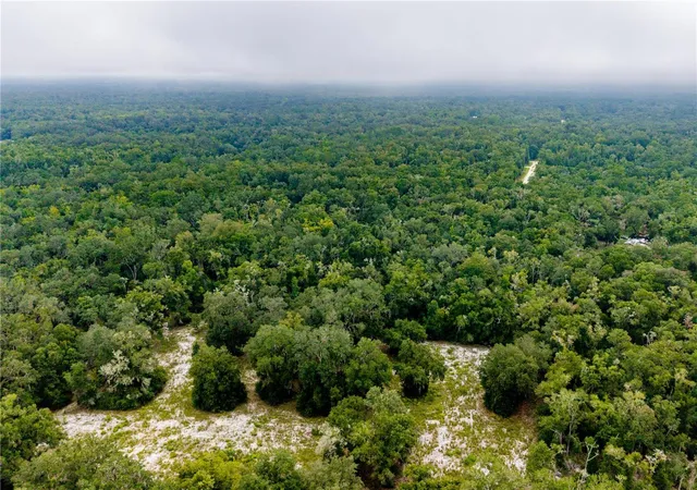 Photo 3 of Land for sale at Tbd Ne 639th Lot 6a St, Old Town, FL 32680 | MLS# GC543232 | Listing updated on 2026-09-04
