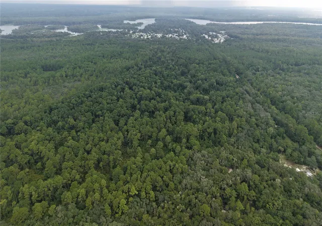Photo 2 of Land for sale at 162 Carriage Pl, Satsuma, FL 32189 | MLS# O6439029 | Listing updated on 2026-09-04