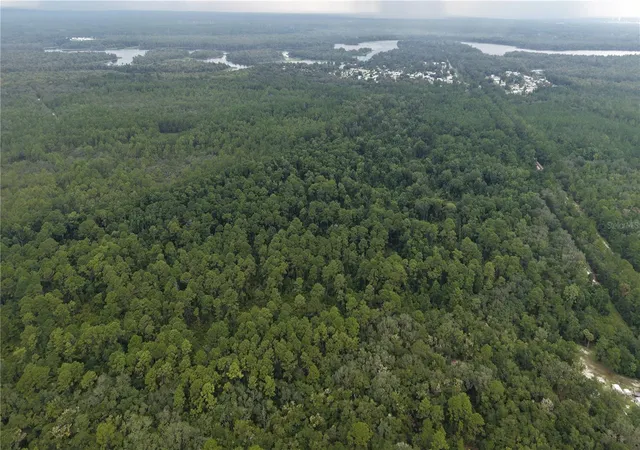 Photo 3 of Land for sale at 162 Carriage Pl, Satsuma, FL 32189 | MLS# O6439029 | Listing updated on 2026-09-04