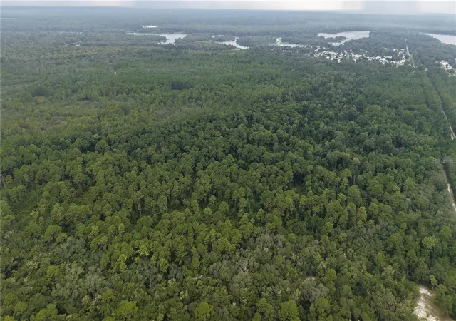Photo 3 of Land for sale at 162 Carriage Pl, Satsuma, FL 32189 | MLS# O6439029 | Listing updated on 2026-09-04