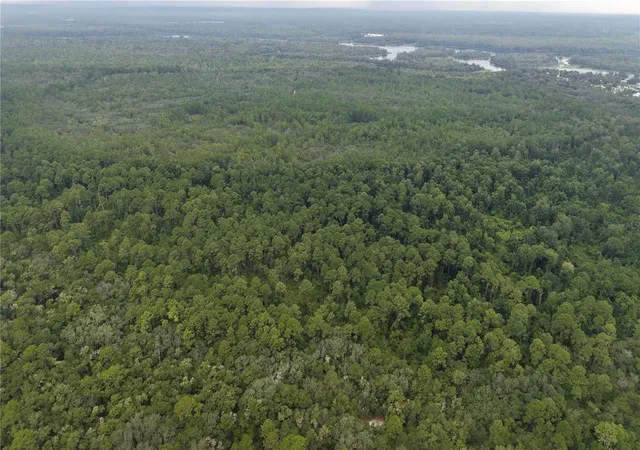 Photo 4 of Land for sale at 162 Carriage Pl, Satsuma, FL 32189 | MLS# O6439029 | Listing updated on 2026-09-04