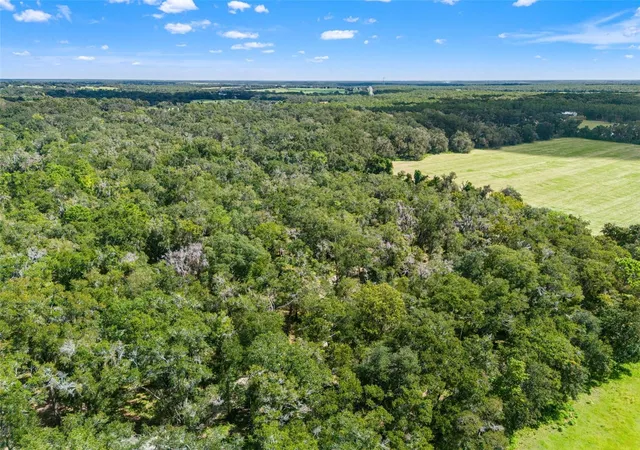 Photo 2 of Land for sale at 11426 S Pleasant Grv Rd, Floral City, FL 34436 | MLS# W7889192 | Listing updated on 2026-10-06