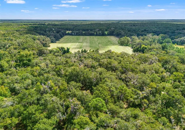 Photo 3 of Land for sale at 11426 S Pleasant Grv Rd, Floral City, FL 34436 | MLS# W7889192 | Listing updated on 2026-10-06