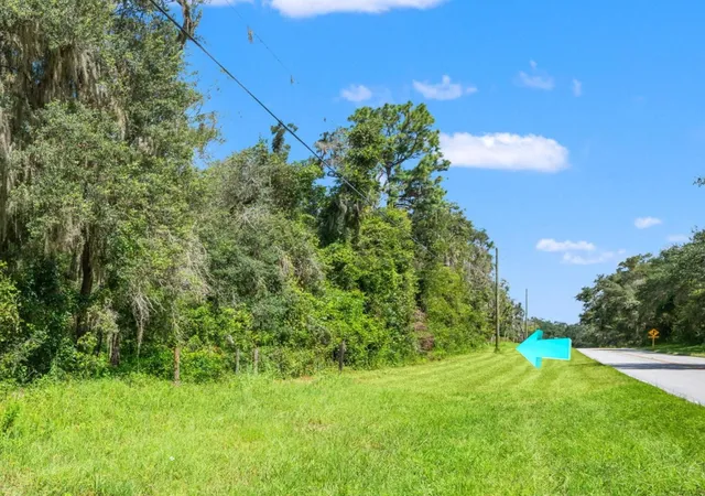 Photo 3 of Land for sale at 11426 S Pleasant Grv Rd, Floral City, FL 34436 | MLS# W7889192 | Listing updated on 2026-10-06