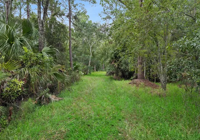 Photo 3 of Land for sale at 14133 Lund Dr, Orlando, FL 32826 | MLS# O6439077 | Listing updated on 2026-10-05