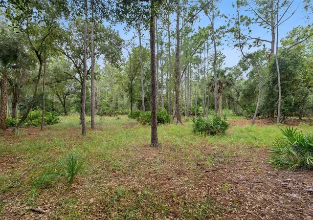 Photo 3 of Land for sale at 14133 Lund Dr, Orlando, FL 32826 | MLS# O6439077 | Listing updated on 2026-10-05