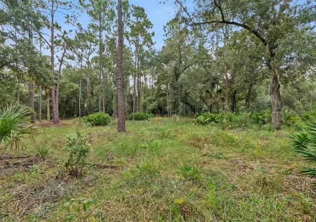 Photo 4 of Land for sale at 14133 Lund Dr, Orlando, FL 32826 | MLS# O6439077 | Listing updated on 2026-10-05