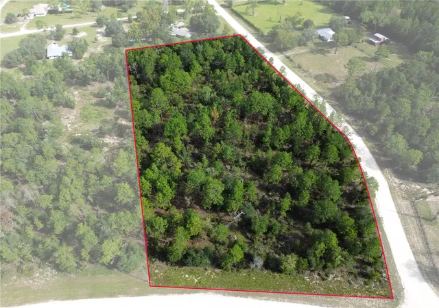 Photo 1 of Land for sale at Tbd Ne 132nd Court, Williston, FL 32696 | MLS# GC543239 | Listing updated on 2026-09-05