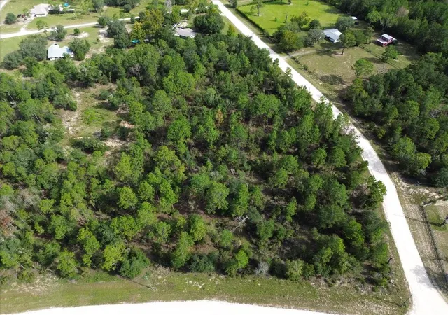 Photo 2 of Land for sale at Tbd Ne 132nd Court, Williston, FL 32696 | MLS# GC543239 | Listing updated on 2026-09-05
