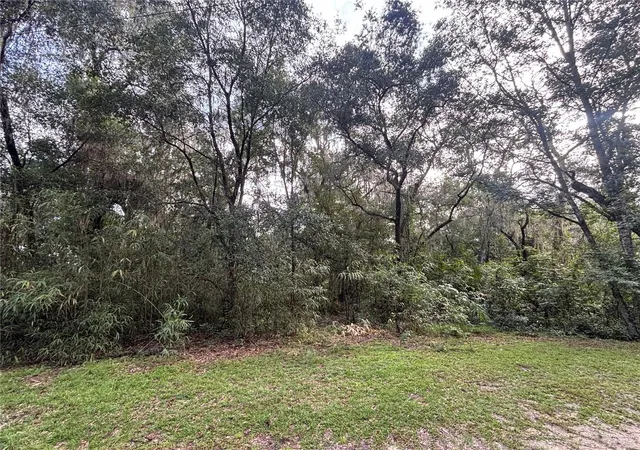 Photo 1 of Land for sale at 190 She Rd, Hawthorne, FL 32640 | MLS# GC543243 | Listing updated on 2026-09-04
