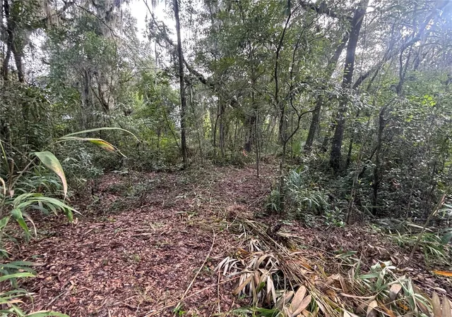 Photo 3 of Land for sale at 190 She Rd, Hawthorne, FL 32640 | MLS# GC543243 | Listing updated on 2026-09-04