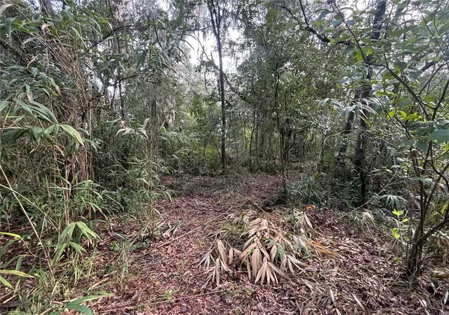 Photo 3 of Land for sale at 190 She Rd, Hawthorne, FL 32640 | MLS# GC543243 | Listing updated on 2026-09-04