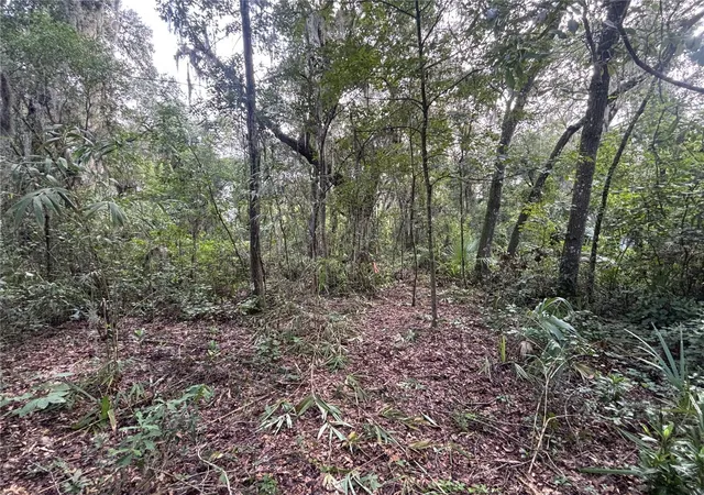 Photo 4 of Land for sale at 190 She Rd, Hawthorne, FL 32640 | MLS# GC543243 | Listing updated on 2026-09-04