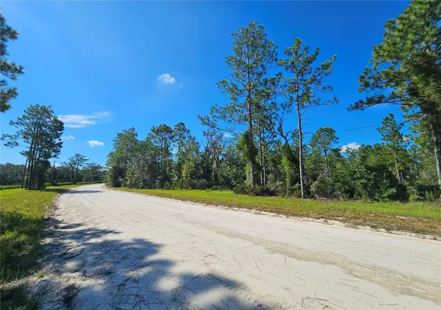 Photo 1 of Land for sale at 0000 Ne 38th Place, Williston, FL 32696 | MLS# OM731672 | Listing updated on 2026-09-04