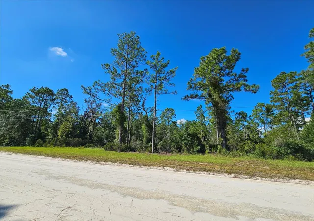 Photo 3 of Land for sale at 0000 Ne 38th Place, Williston, FL 32696 | MLS# OM731672 | Listing updated on 2026-09-04